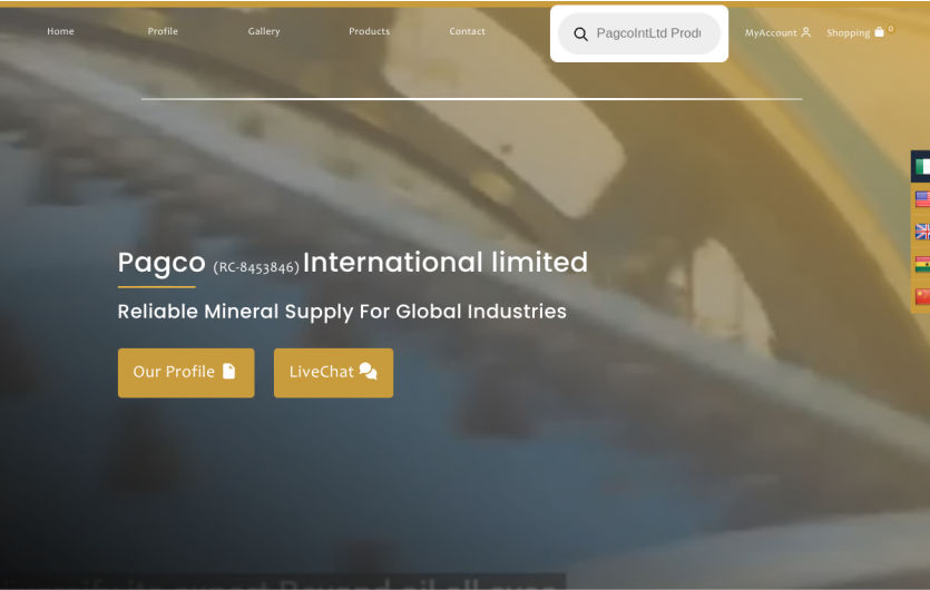 Desktop preview of pagcointltd.com.ng
