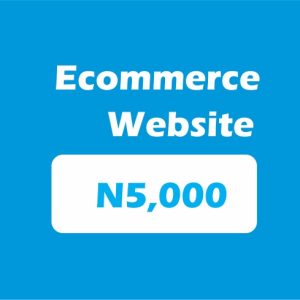 Ecommerce Website(Part Payment) - N5,000 (variation)